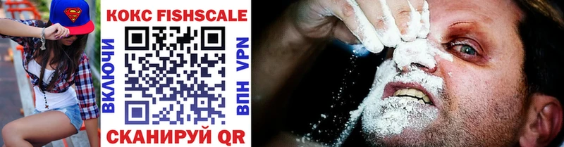 COCAIN Fish Scale  kraken tor  Куртамыш  где найти  