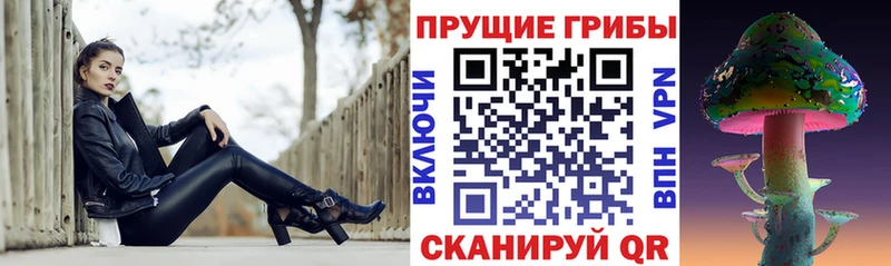 Галлюциногенные грибы мицелий  blacksprut рабочий сайт  Куртамыш 